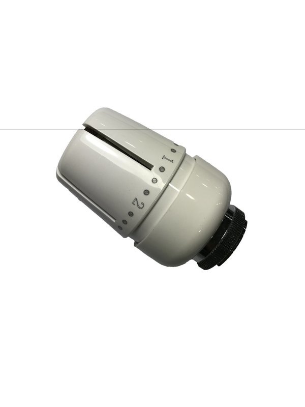TETE THERMOSTATIQUE M30 HOMERAD HRD2018