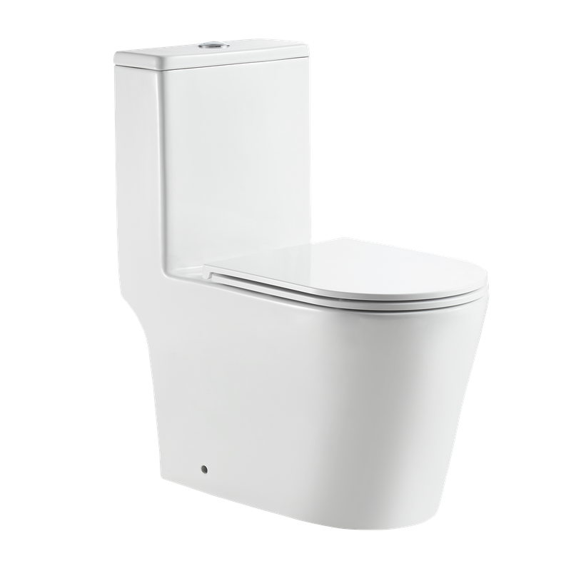 WC à POSER VINTO BLANC
