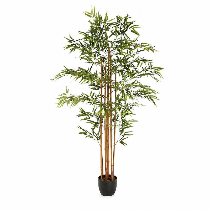 Bambou Yumi haut 180cm avec pot plastique 110248
