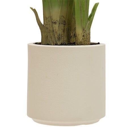 Bananier 3 troncs Lora haut 200 cm avec pot plastique 214031