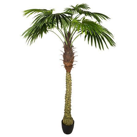 Palmier Allpa haut 180 cm avec pot plastique 164253