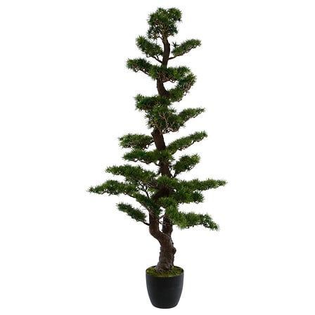 Bonsaï Maki haut 151 cm avec pot plastique 145013
