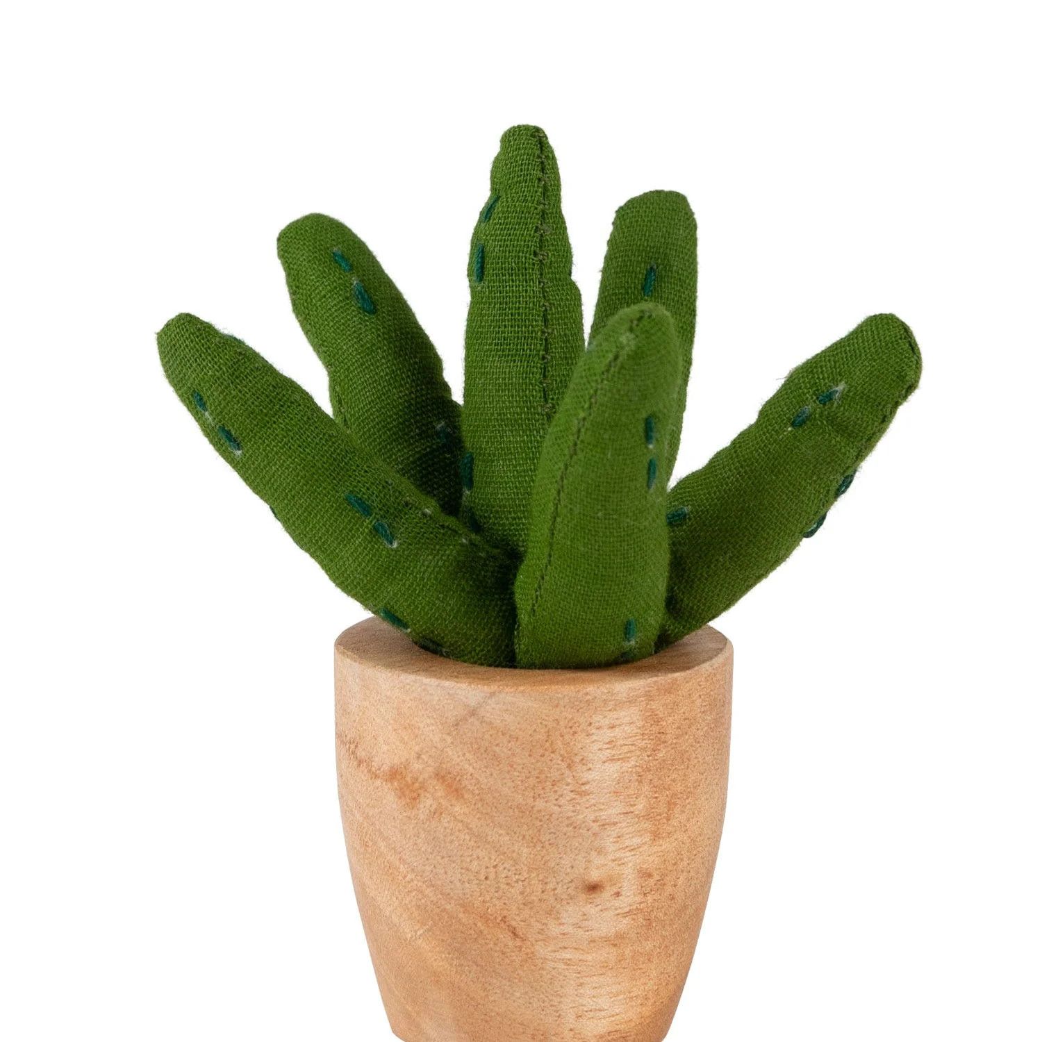 Mini Aloe Vera Plant