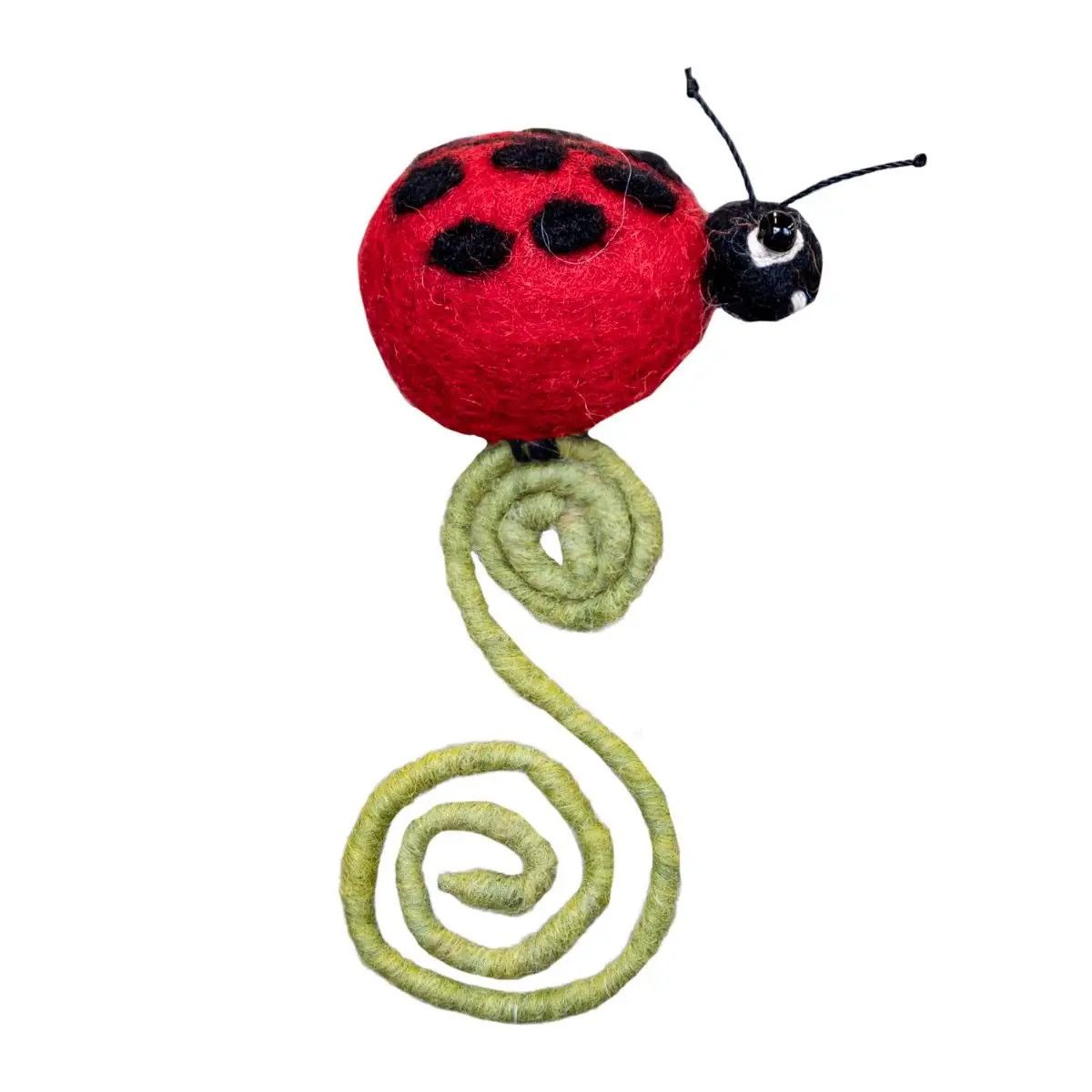 Ladybug Frond Friend