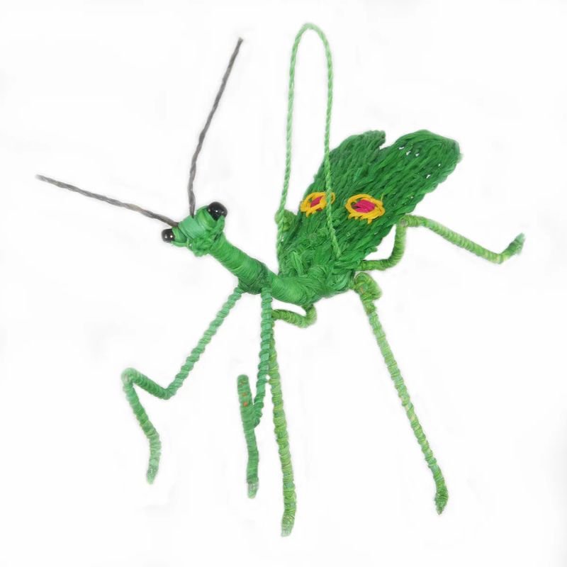 Chambira Palm Praying Mantis