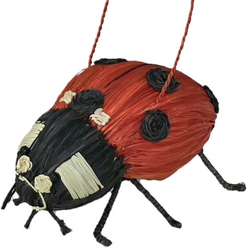 Chambira Palm Ladybug
