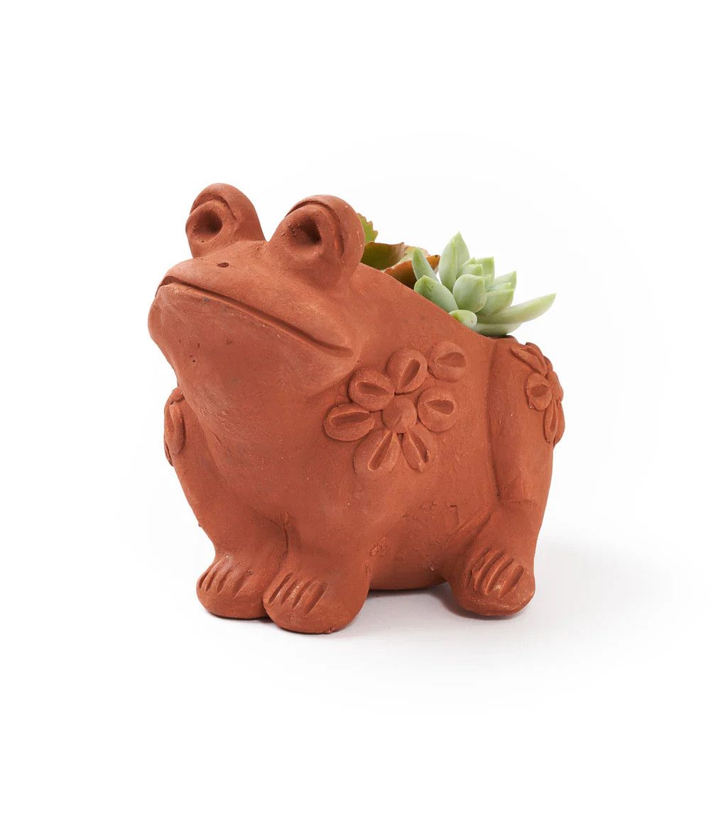 Rakshana Terracotta Frog Plant Pot