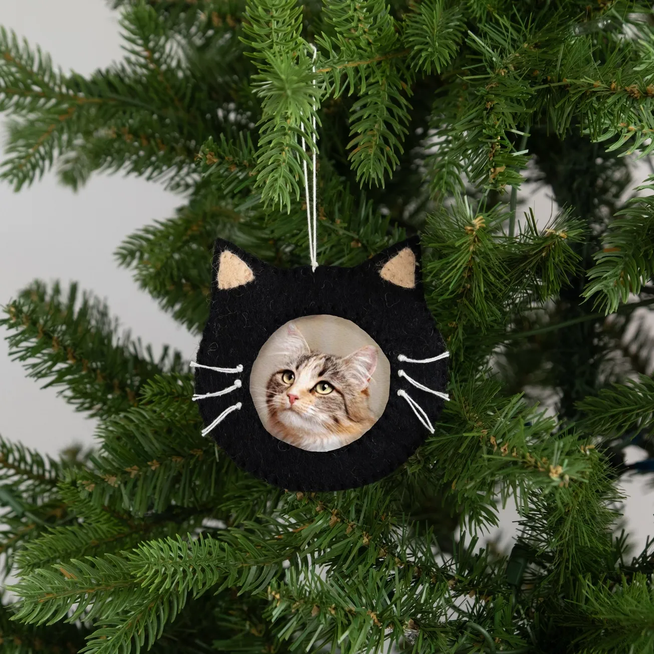 Black Cat Frame Felt Ornament