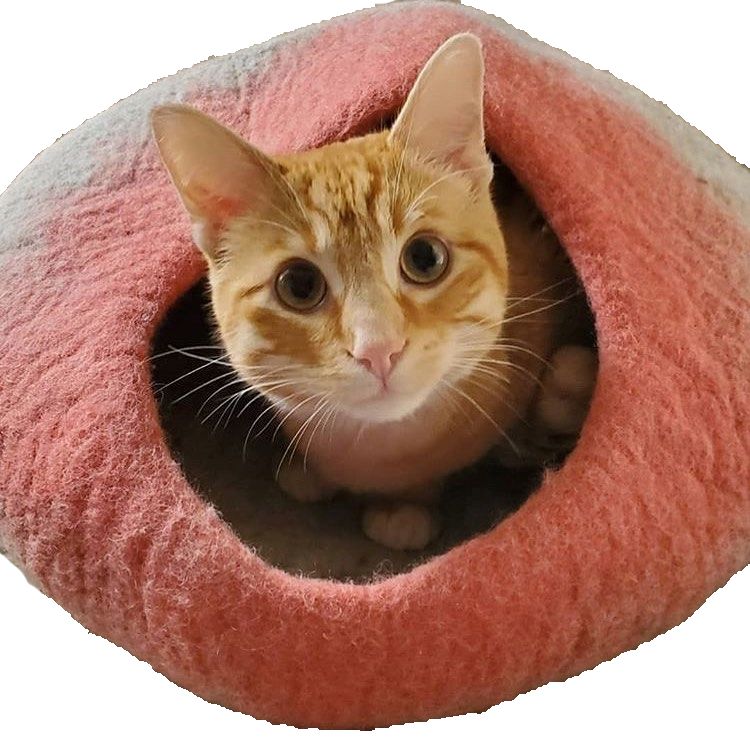 Rose Ombre Felt Pet Cave
