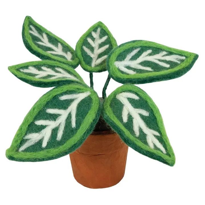 Zebra Plant Potted Felt Plant
