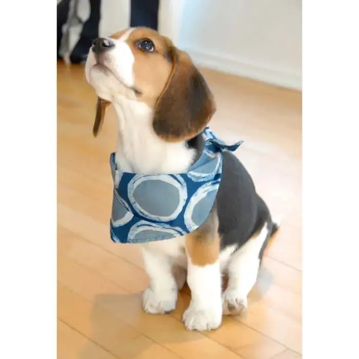 Batik Pet Bandana S/M Assorted Colors &amp; Patterns