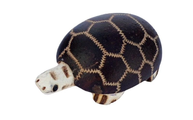 Baby Turtle Wingo Shaker