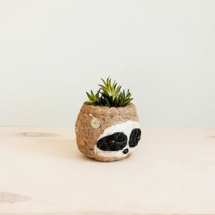 Coco Coir Mini Sloth Planter Black