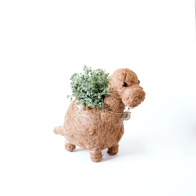 Coco Coir Brontosaurus Planter