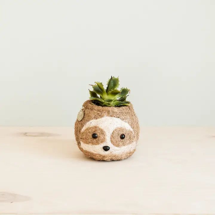 Coco Coir Mini Sloth Planter Natural