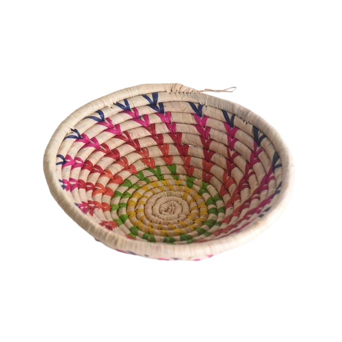 Rainbow Raffia Basket