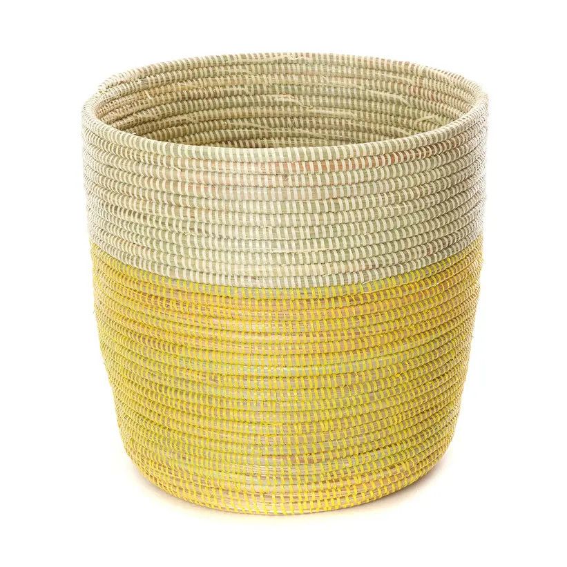 Basket Bin Lemon Dipped