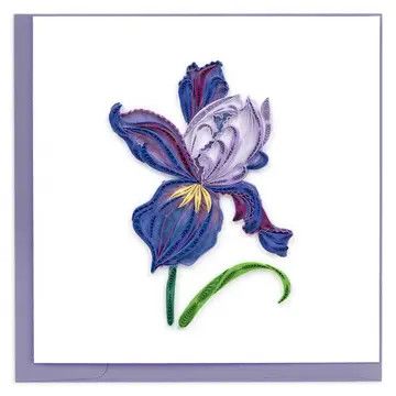 Iris Bloom Quilled Card