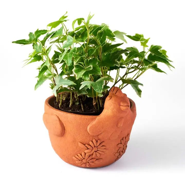 Rakshana Terracotta Chicken Plant Pot
