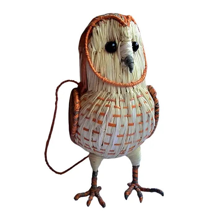 Chambira Palm Barn Owl