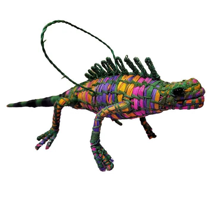 Chambira Palm Iguana