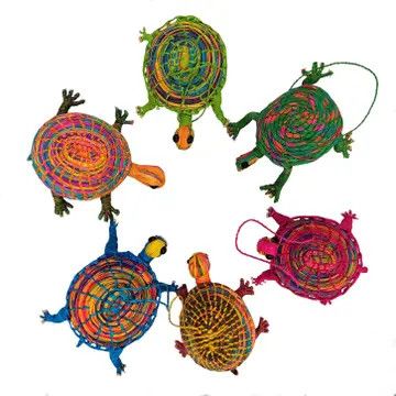Chambira Palm Turtle