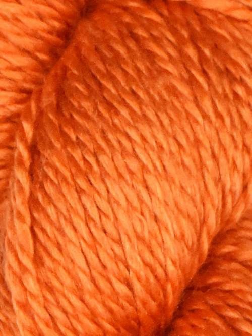 Delish, Color: Clementine
