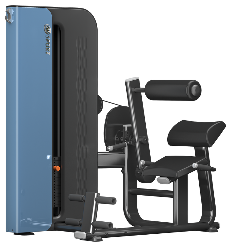 lower back
