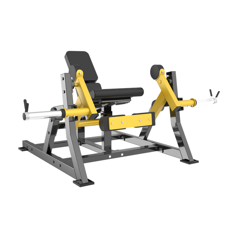 SEATED LEG EXTENSION