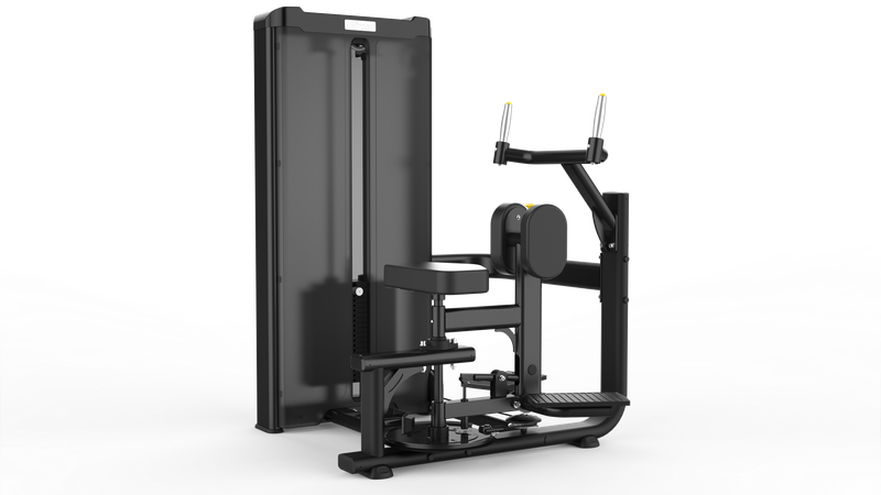 ROTARY TORSO