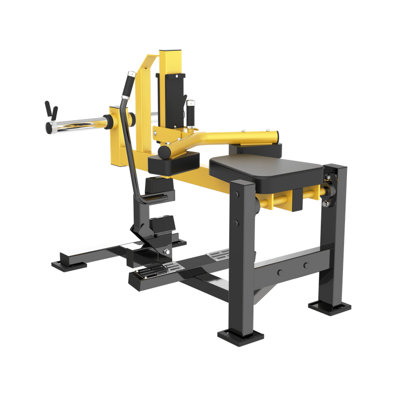 SEATED CALF
