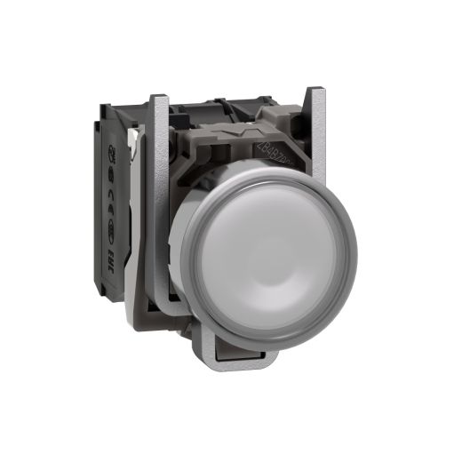 XB4BW31B5, Flush illum push button XB4, Ø22, metal, white, spring return, 1NO+1NC, 24V AC/DC