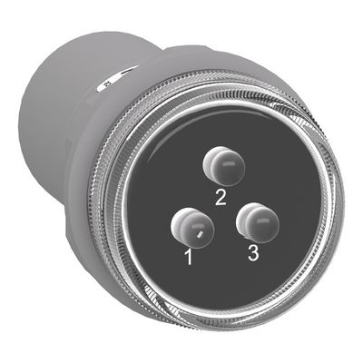 XB5EV57L4, 3 phases indicator XB5, Ø22, plastic, 3LED, white 400V AC