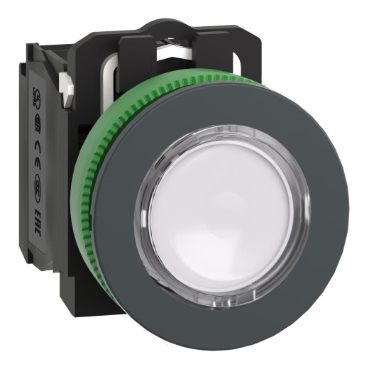 XB5FW31B5, Illuminated push button XB5F, Ø30, plastic, white, spring return, LED, 1NO+1NC, 24V AC/DC