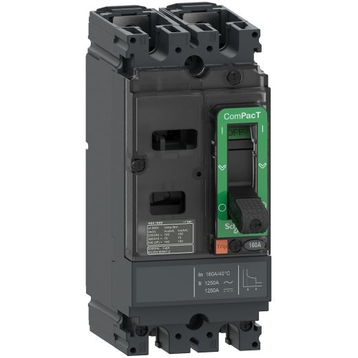 C10S2TM100, MCCB, ComPacT NSX100S AC/DC, 100kA/500VDC, 2 poles, TMD trip unit 100A