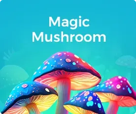 Magic Mushroom