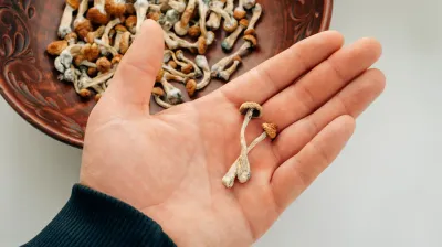 Magic Mushroom Dosage Guide: Find Your Ideal Dose