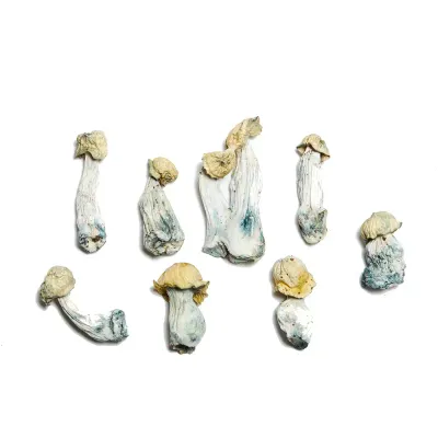 Baby Ape Raw Mushrooms 5g