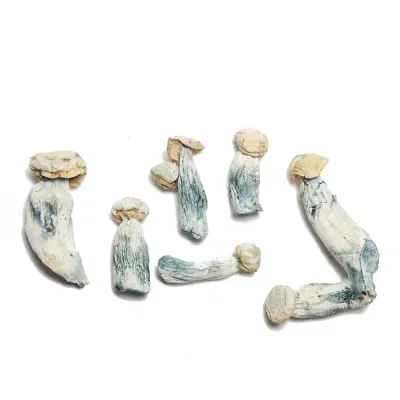 Ghost Raw Mushrooms 5g
