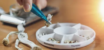 What is Microdosing?