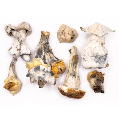 Ape Raw Magic Mushrooms 5g by Magicfly.com
