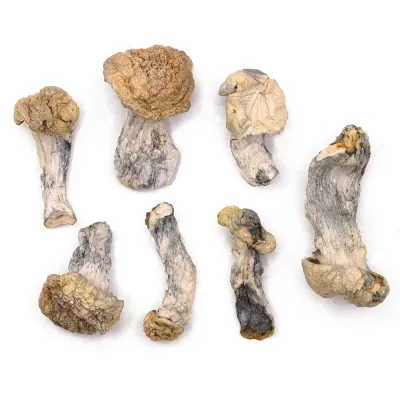 IceBerg Raw Magic Mushrooms 5g