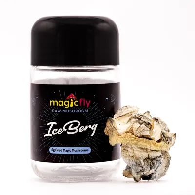 IceBerg Raw Magic Mushrooms 5g