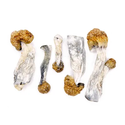Tidal Wave Raw Magic Mushrooms 5g