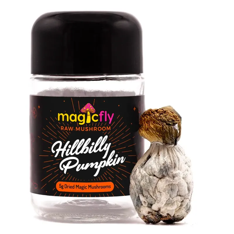 Hillbilly Pumpkin Raw Magic Mushrooms 5g