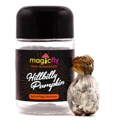 Hillbilly Pumpkin Raw Magic Mushrooms 5g