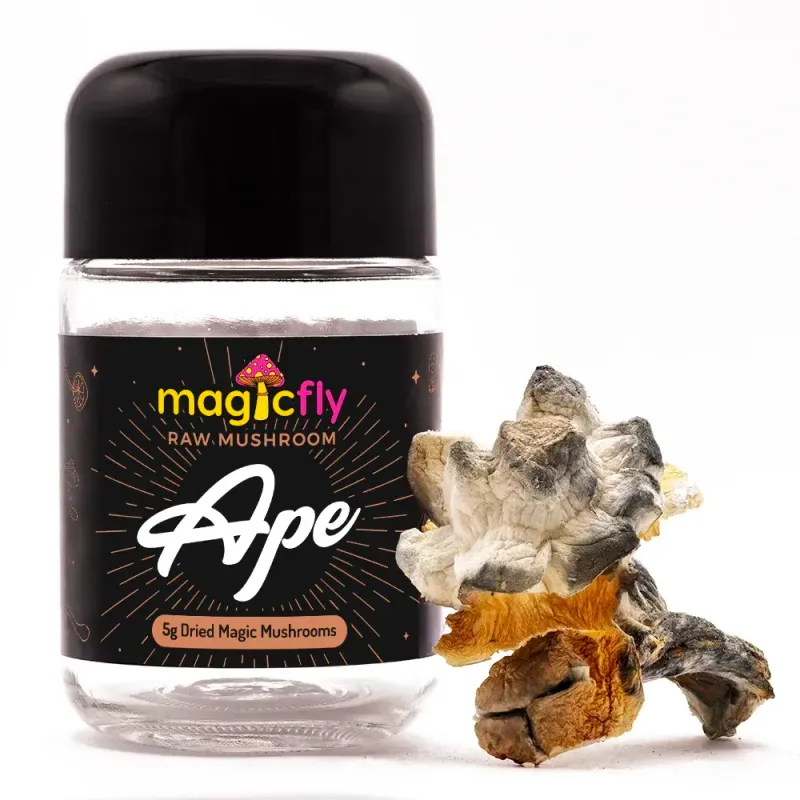 Ape Raw Magic Mushrooms 5g by Magicfly.com