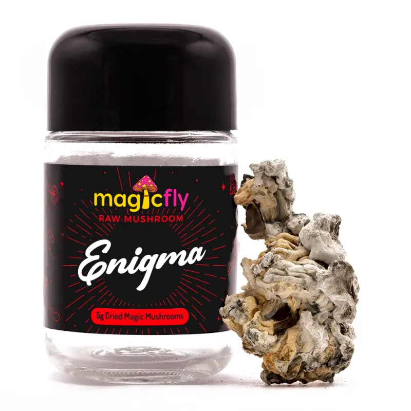 Hillbilly Pumpkin Raw Magic Mushrooms 5g