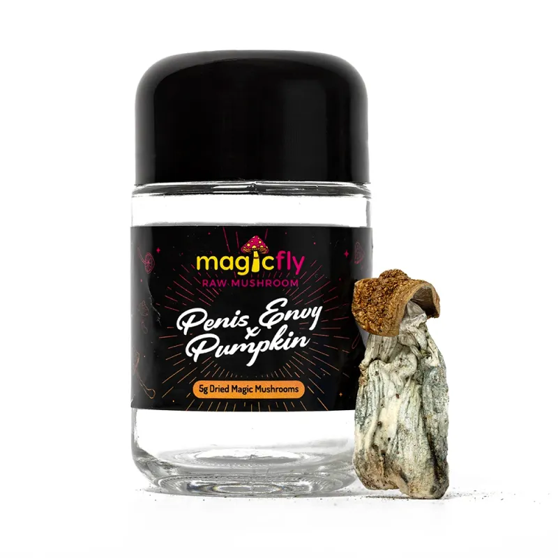 Penis Envy x Pumpkin Raw Mushrooms