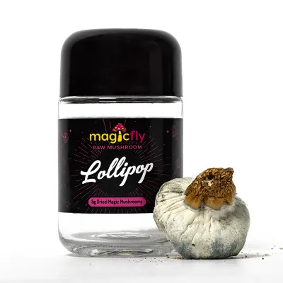 Lollipop Raw Mushrooms